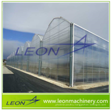LEON series best selling greenhouse/agricultural greenhouse/plastic greenhouse